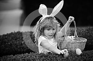 Child gathering eggs, easter egg hunt concept. Easter bunny kids. Kids in bunny ears on Easter egg hunt in garden.