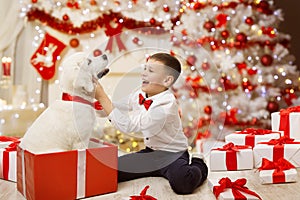 Child Getting Christmas Dog Present, Happy Kid Boy, Xmas Tree