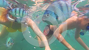 Child and girl bathe in the sea with fish. Scuba diving in masks