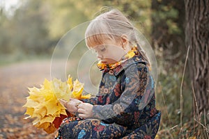 Child girl with a bouquet of yellow autumn leaves is sad that autumn is ove
