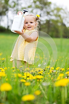 Child girl between dandelions
