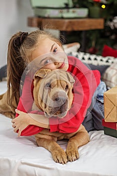 Child girl and dog at Christmas. Boxing Day. Shar Pei dog. Merry Christmas and Happy Holidays