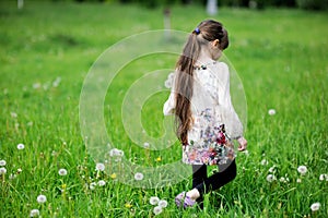 Child girl gathering dandelions on field