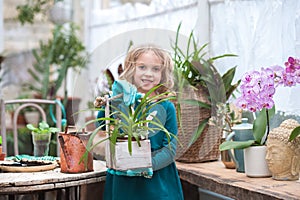 A child girl in a green dress transplants potted flowers in the winter garden. Girl in gardening help transplant flowers