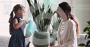 Child girl holding watering can water house plant helping mom