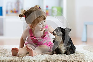 Child girl with little dog black hairy chihuahua doggy