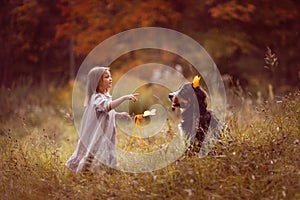 Child girl with magic wand and Bernese Dog, play