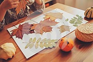 Child girl making herbarium from dried leaves at home, nature art and craft