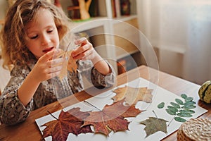 Child girl making herbarium at home, autumn seasonal crafts