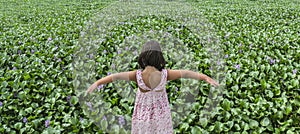 Child girl over water hyacinth bank. Invasive plants on rivers c