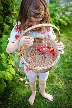 Child girl picking berries in home garden