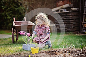 Child girl planting hyacinth flowers in spring garden