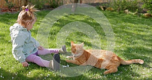 Child girl playing with ginger cat in spring backyard garden. Cute girl feeding her cat