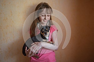 Child girl plays with little dog black hairy chihuahua doggy