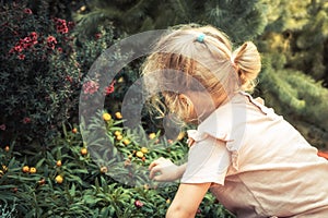 Child girl smelling beautiful flowers in blossoming summer park concept saving nature lifestyle