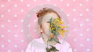 Child girl sniffs of a mimosa flower and sneezes. Allergy to pollen of flowers.