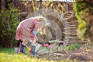 Child girl in spring garden plays and watering hyacinth flowers