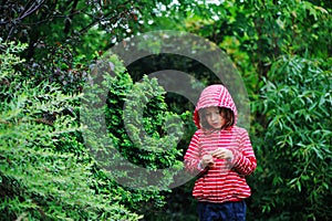 Child girl on the walk in rainy garden, wearing red raincoat