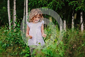 Child girl on the walk in summer forest, nature exploration with kids