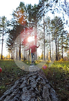 child girl  walking along fallen tree trunk outdoors , sunset twilight time, soft blur, sun glare    .