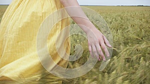 Child girl walking in the wheat field