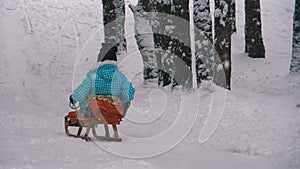 Child girl on wooden sled goes down from a snowy hill in pine forest. Slow motion