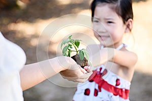 Child giving plant seedling