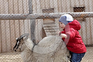 Child on a goat