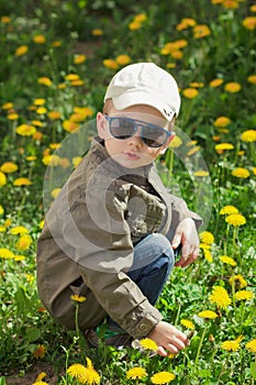 Child on green grass lawn with dandelion flowers on sunny summer day. Kid playing in garden.