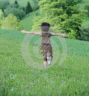 Sul verde naturale prato 