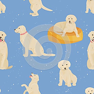 Child growth vector dog growing and aging concept from baby or puppy to aged man or old pet character illustration set