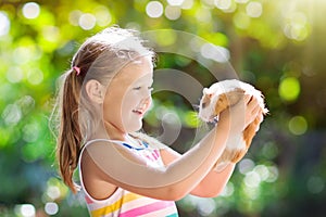 Child with guinea pig. Cavy animal. Kids and pets.