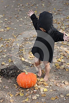Child in halloween sorcerer or witch suit is surprised to find fresh orange pumpkin, he spreads his hands