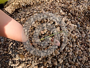 Child hand build stronghold in sand or small stones pillar, broken twigs and leaves