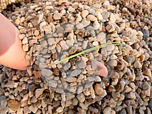 Child hand build stronghold in sand or small stones pillar, broken twigs and leaves