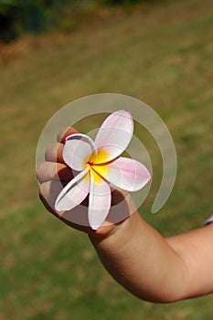 Child hand flower