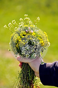 Child hand with flowers