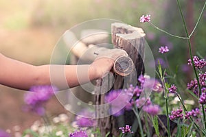 Child hand holding bamboo railing in the flower garden