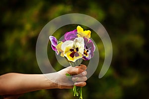 Child hand holding a bouquet pansies flower . Focus for flowers
