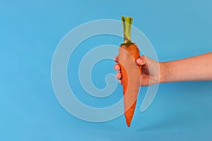 Child hand holding raw carrot front view