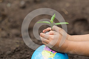 Child hand holding a small seedling on the globe, plant a tree, reduce global warming, World Environment Day