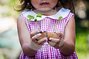 Child hand holding young tree in egg shell