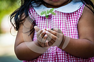 Child hand holding young tree in egg shell