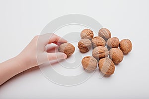 child hand with many walnuts  on white background,