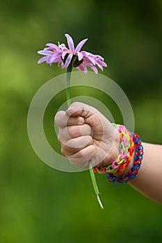 Child hand in rubber band bracelets with flower