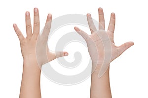 Child hand shows five fingers isolated on white background