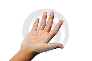 Child hand shows the number five on white background