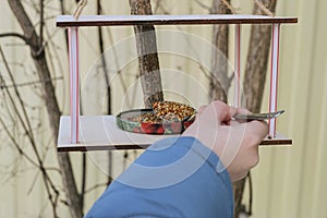 Child hand with spoon adds grain to the bird feeder for wintering birds