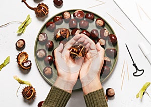 Child hands hold a chestnut for making autumn decor. Creative crafts with natural material.