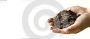 Child hands holding Fertile soil and earthworms on white background